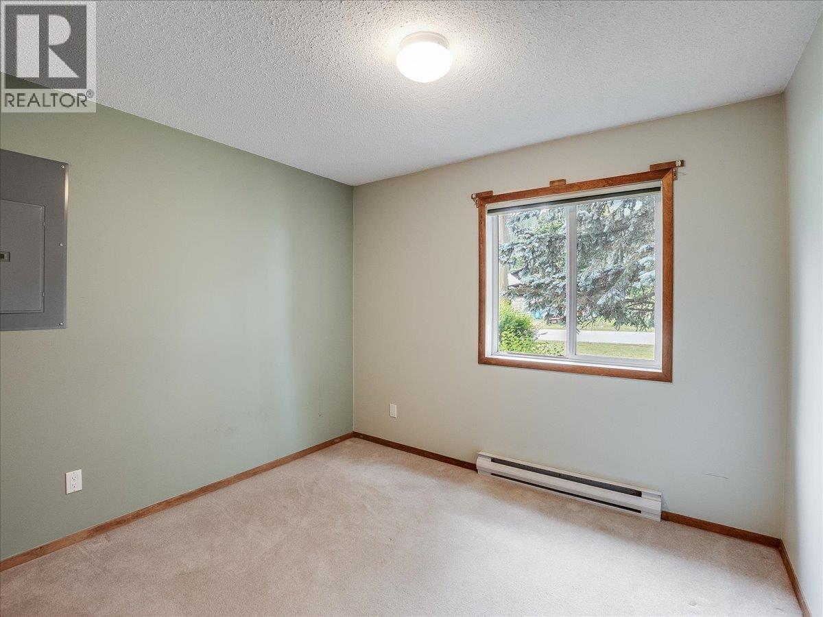507 Arthur Street, Slocan, British Columbia  V0G 2C0 - Photo 30 - 10391363