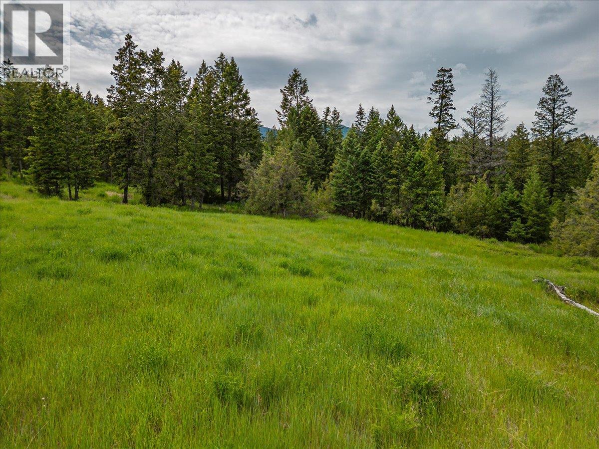 Lot 14 Bella Vista Boulevard Lot# 14, Fairmont Hot Springs, British Columbia  V0B 1L2 - Photo 7 - 10390343