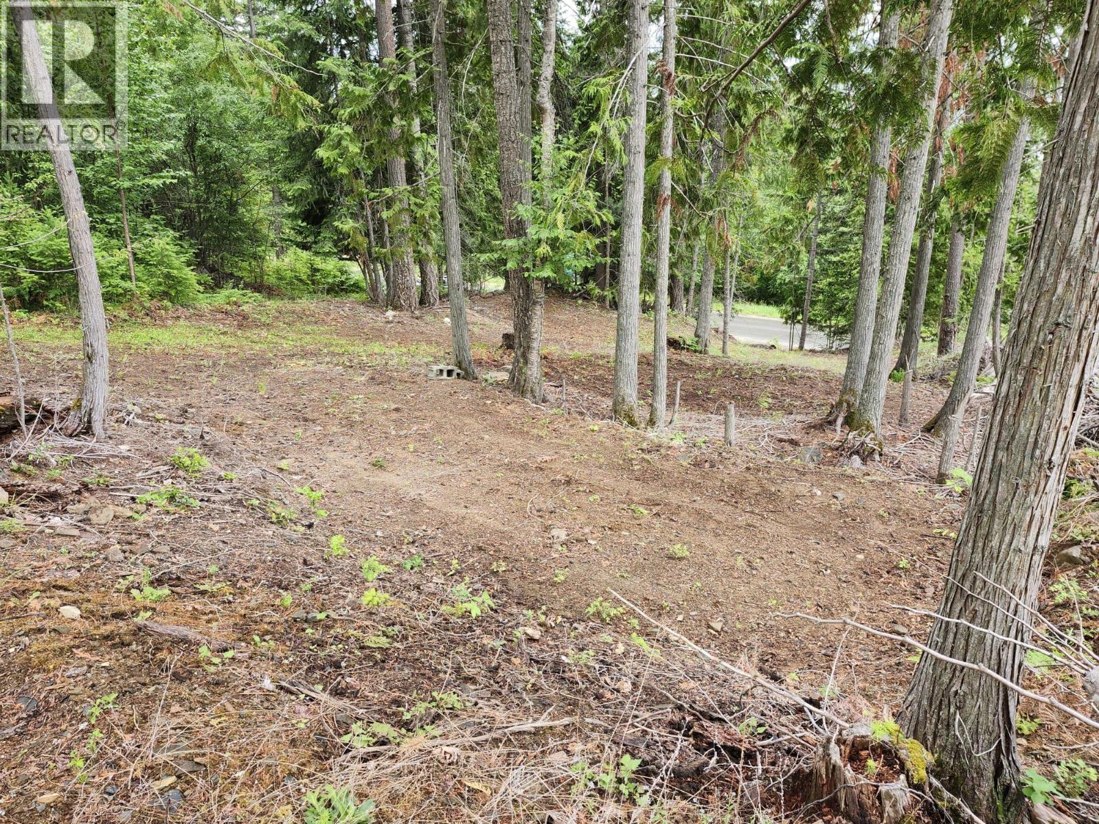 Aspen Road Lot# 331, Anglemont, British Columbia  V0E 1M8 - Photo 10 - 10392057