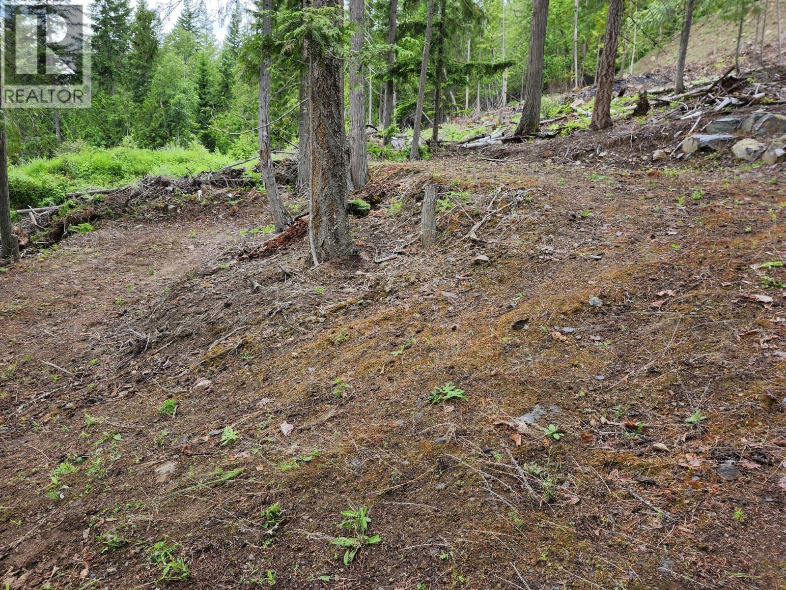 Aspen Road Lot# 331, Anglemont, British Columbia  V0E 1M8 - Photo 11 - 10392057