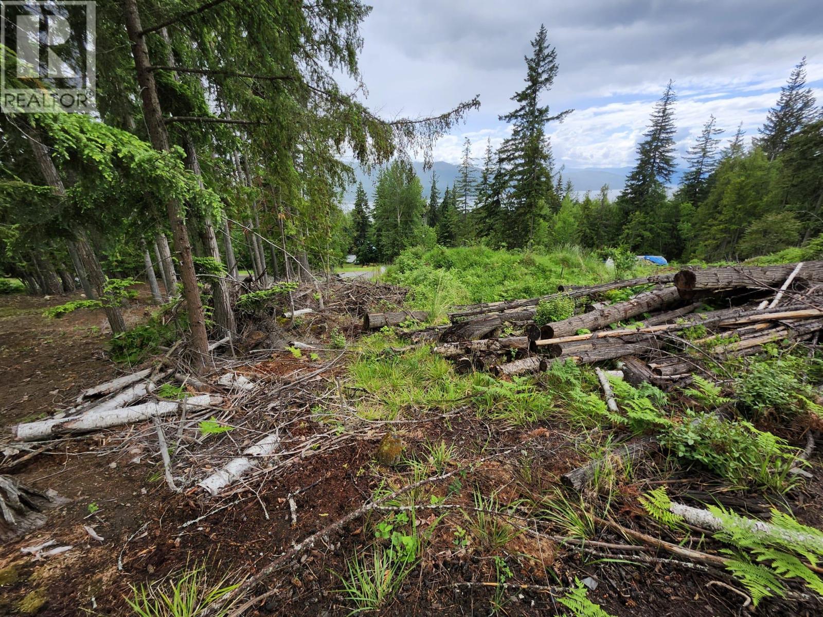Aspen Road Lot# 331, Anglemont, British Columbia  V0E 1M8 - Photo 12 - 10392057