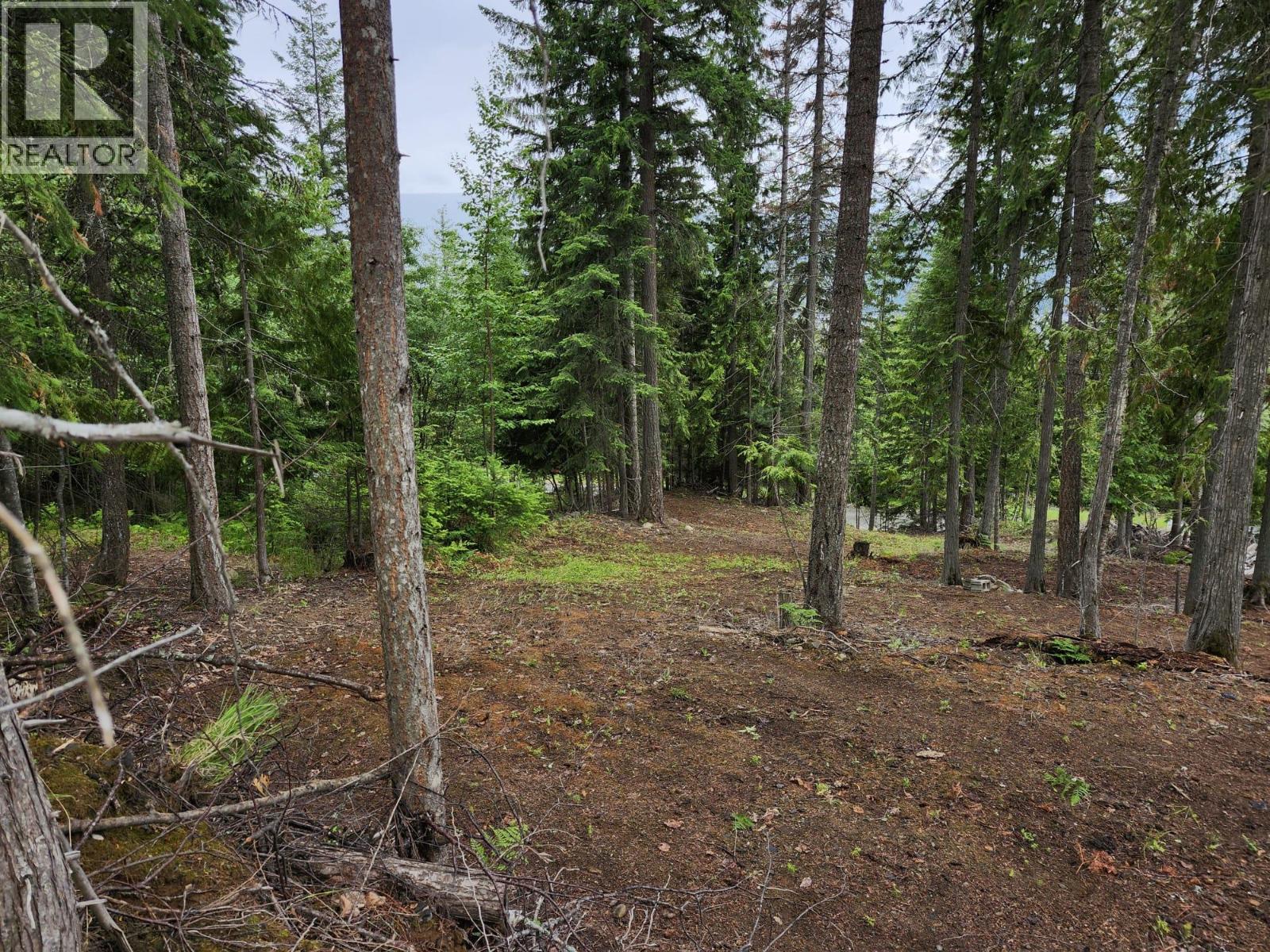 Aspen Road Lot# 331, Anglemont, British Columbia  V0E 1M8 - Photo 13 - 10392057