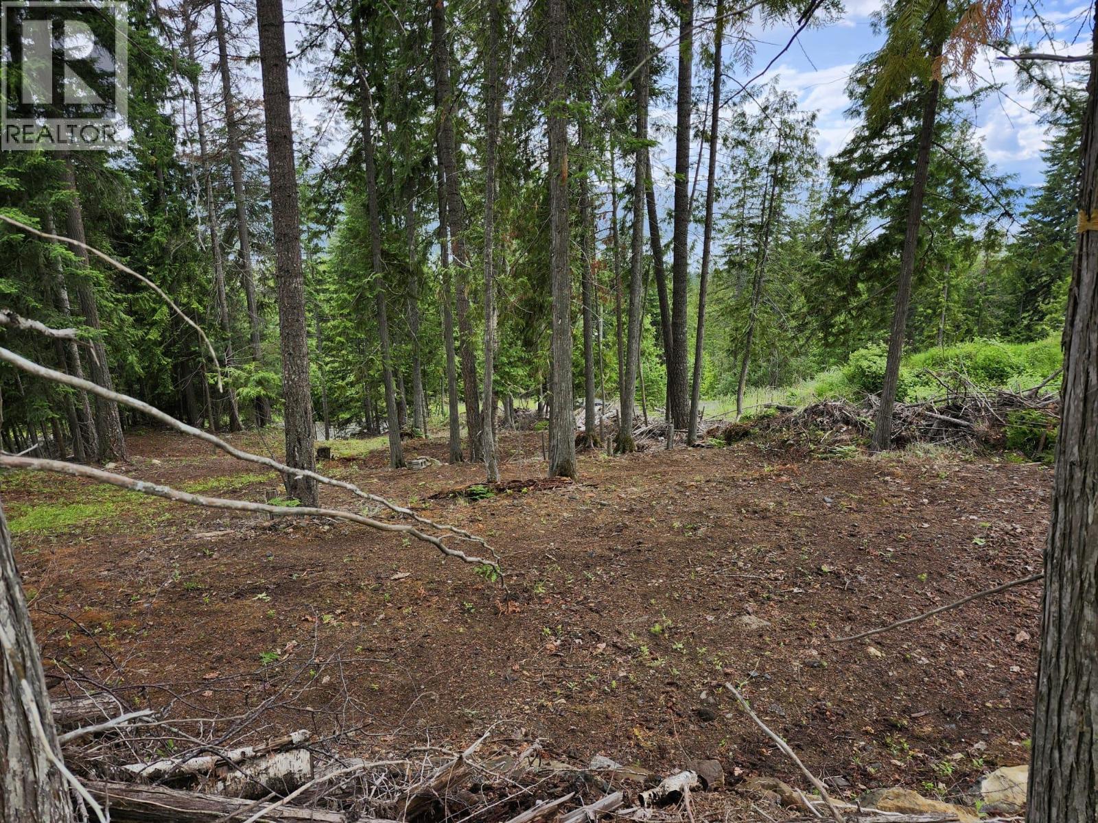 Aspen Road Lot# 331, Anglemont, British Columbia  V0E 1M8 - Photo 14 - 10392057