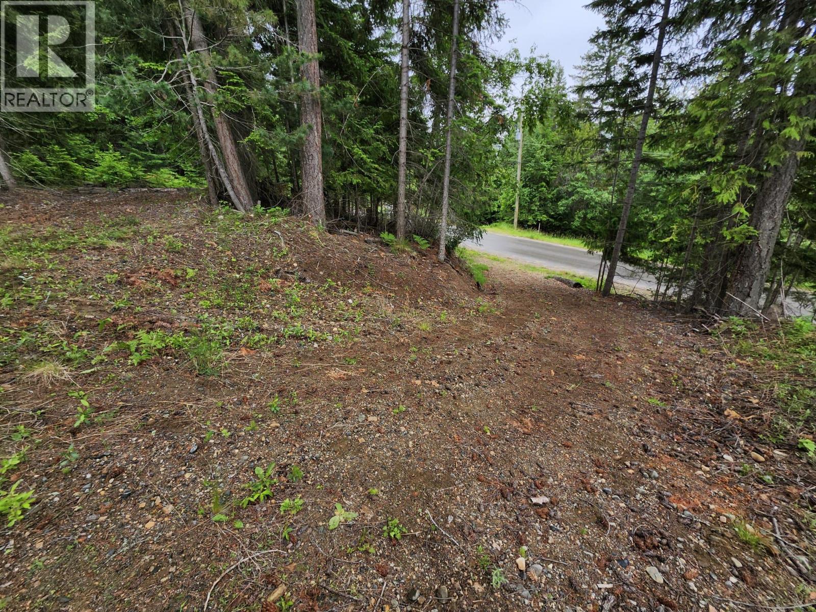 Aspen Road Lot# 331, Anglemont, British Columbia  V0E 1M8 - Photo 3 - 10392057