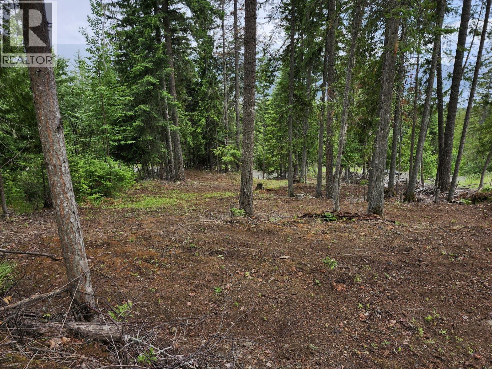 Aspen Road Lot# 331, Anglemont, British Columbia  V0E 1M8 - Photo 4 - 10392057