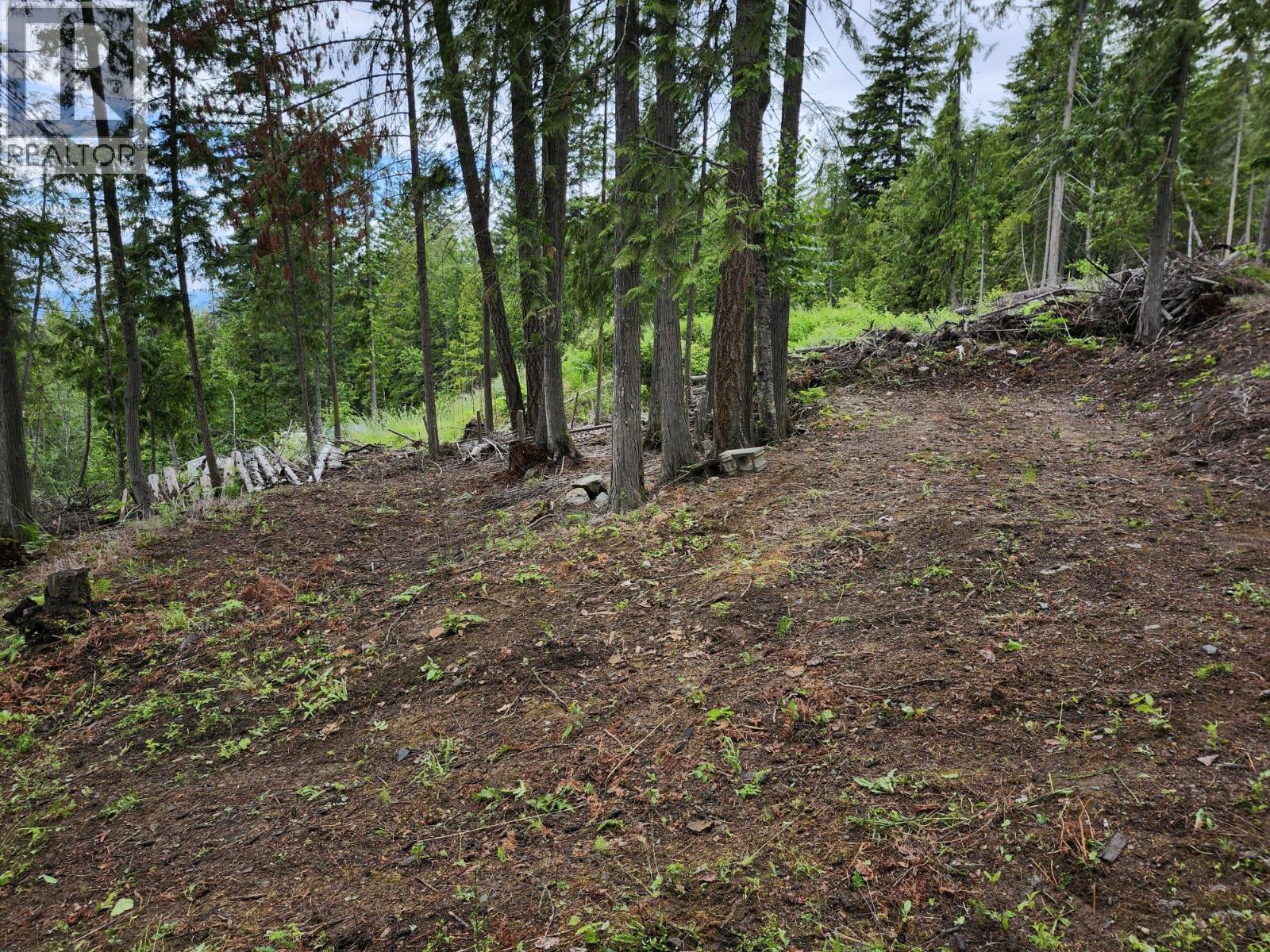 Aspen Road Lot# 331, Anglemont, British Columbia  V0E 1M8 - Photo 5 - 10392057