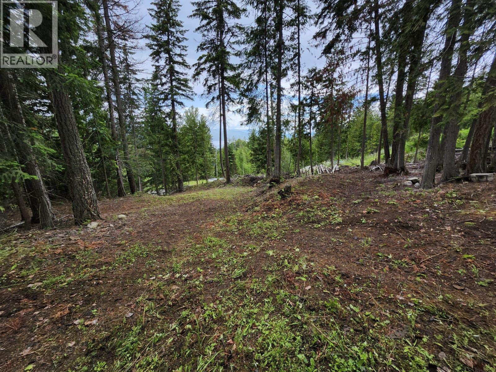 Aspen Road Lot# 331, Anglemont, British Columbia  V0E 1M8 - Photo 6 - 10392057