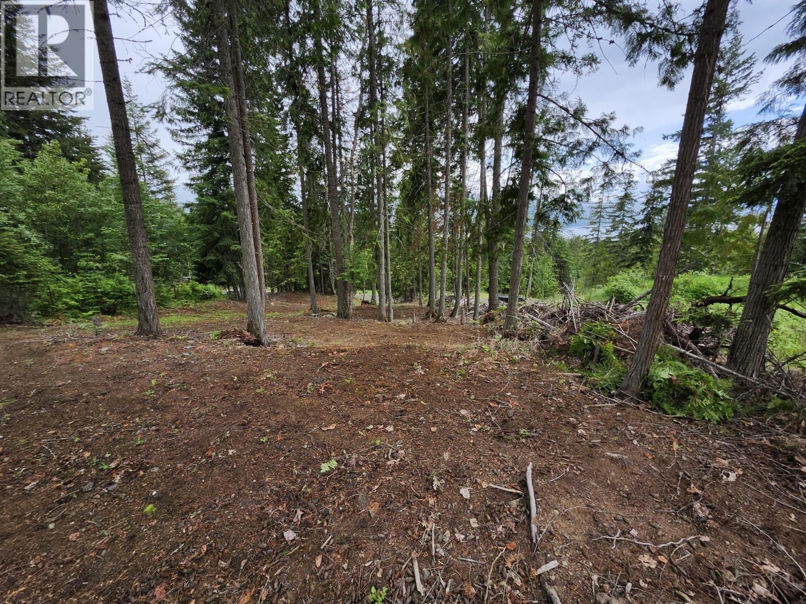 Aspen Road Lot# 331, Anglemont, British Columbia  V0E 1M8 - Photo 7 - 10392057