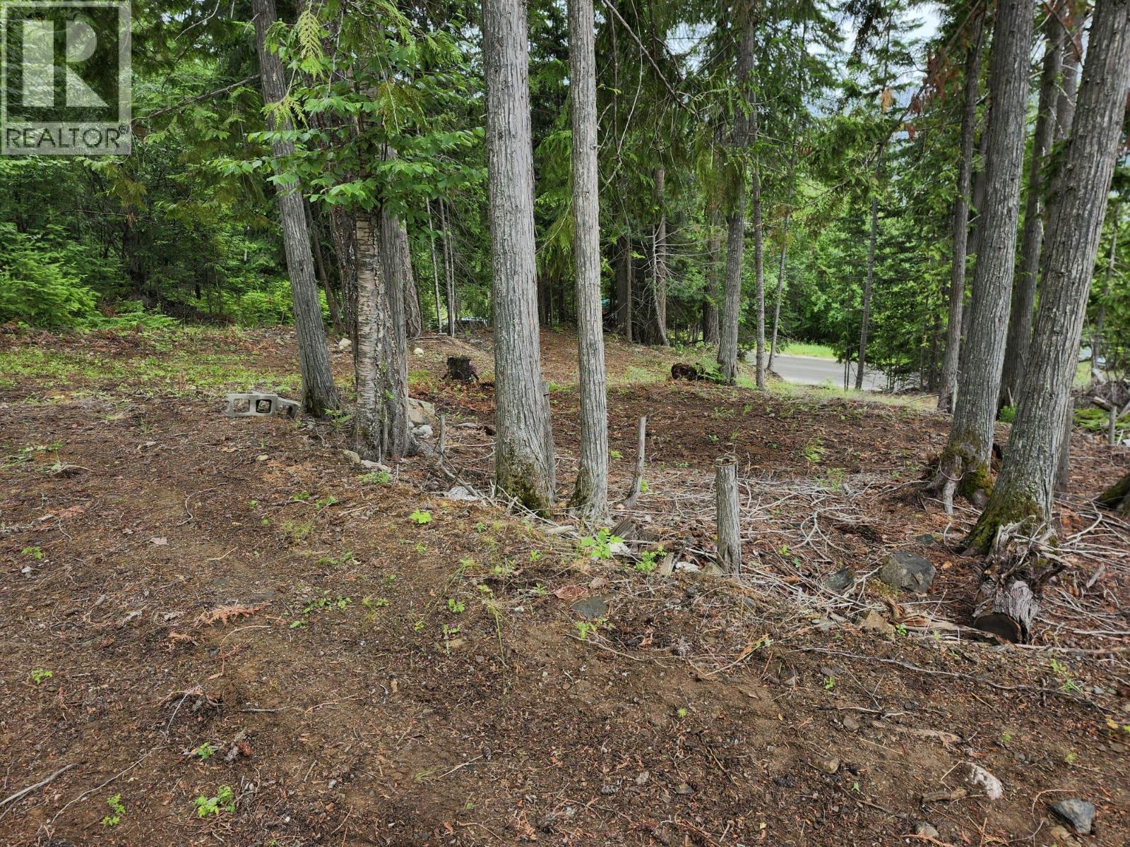 Aspen Road Lot# 331, Anglemont, British Columbia  V0E 1M8 - Photo 8 - 10392057