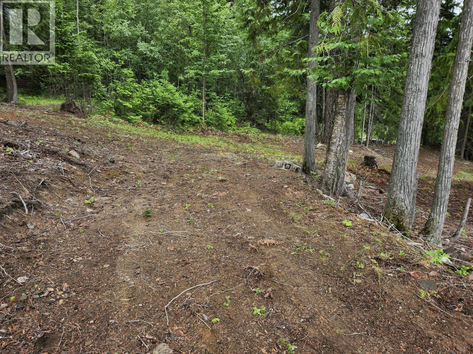 Aspen Road Lot# 331, Anglemont, British Columbia  V0E 1M8 - Photo 9 - 10392057