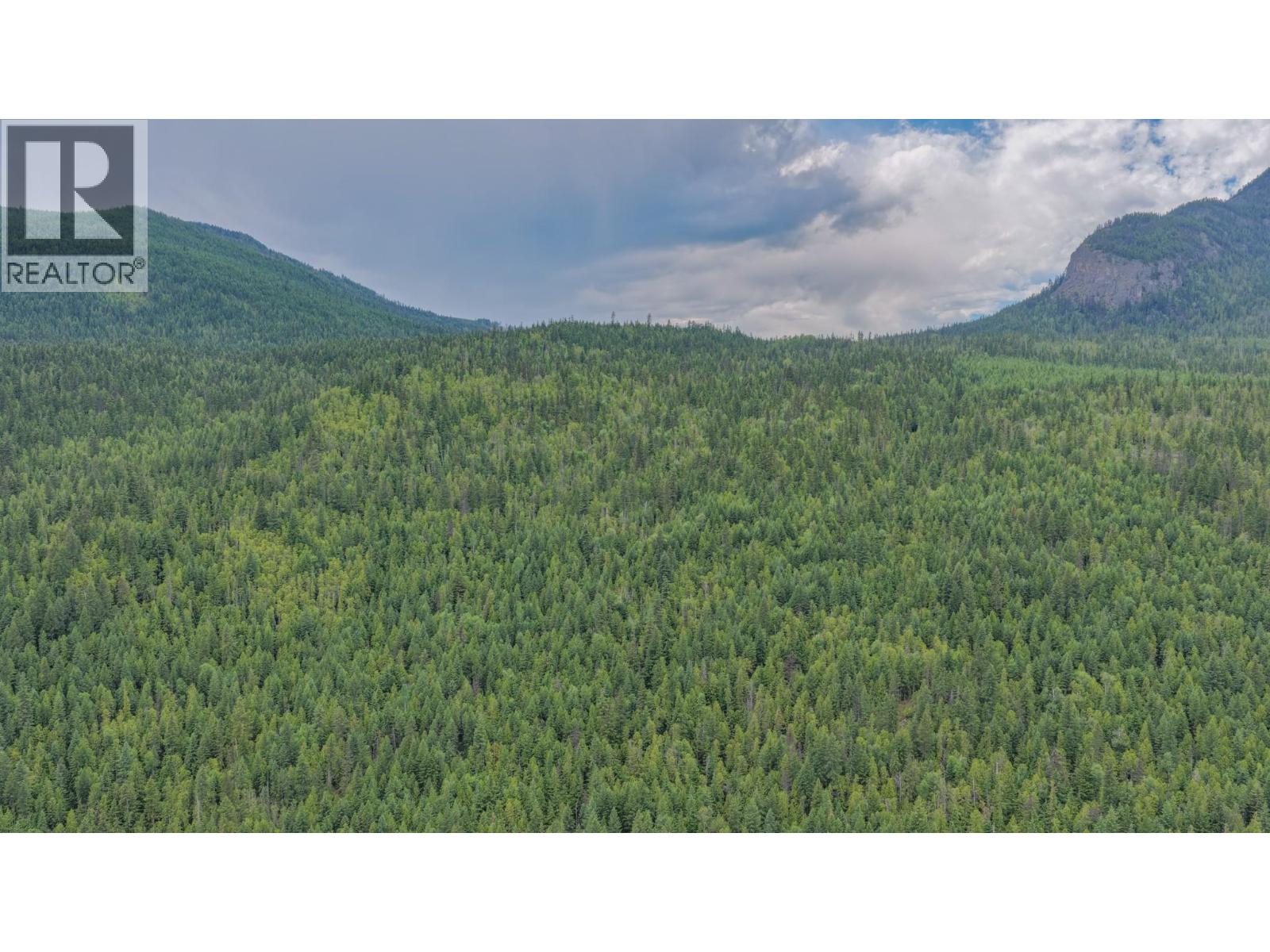 2996 Lumby Mabel Lake Road, Lumby, British Columbia  V0E 2G6 - Photo 15 - 10390746