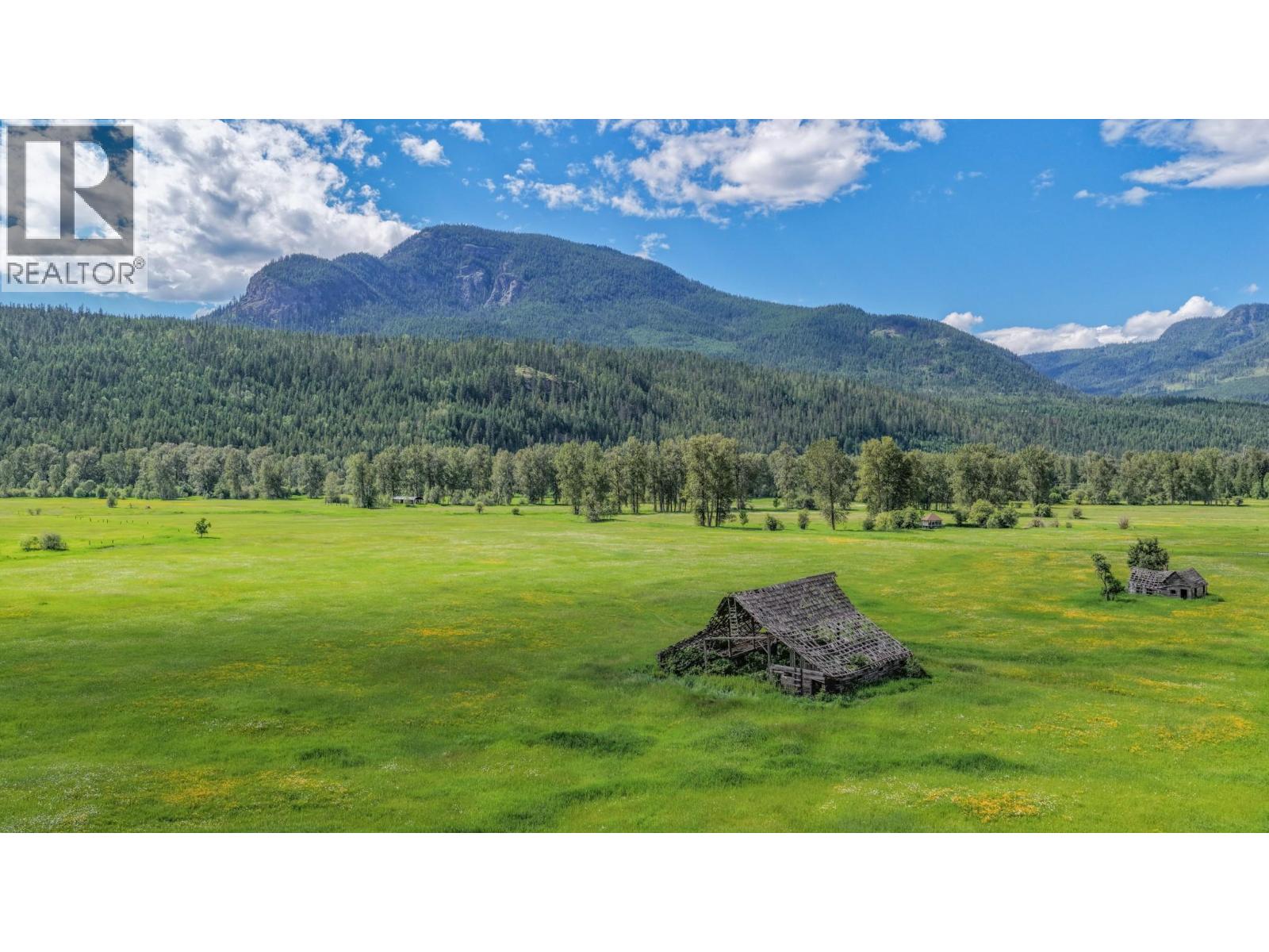 2996 Lumby Mabel Lake Road, Lumby, British Columbia  V0E 2G6 - Photo 58 - 10390746