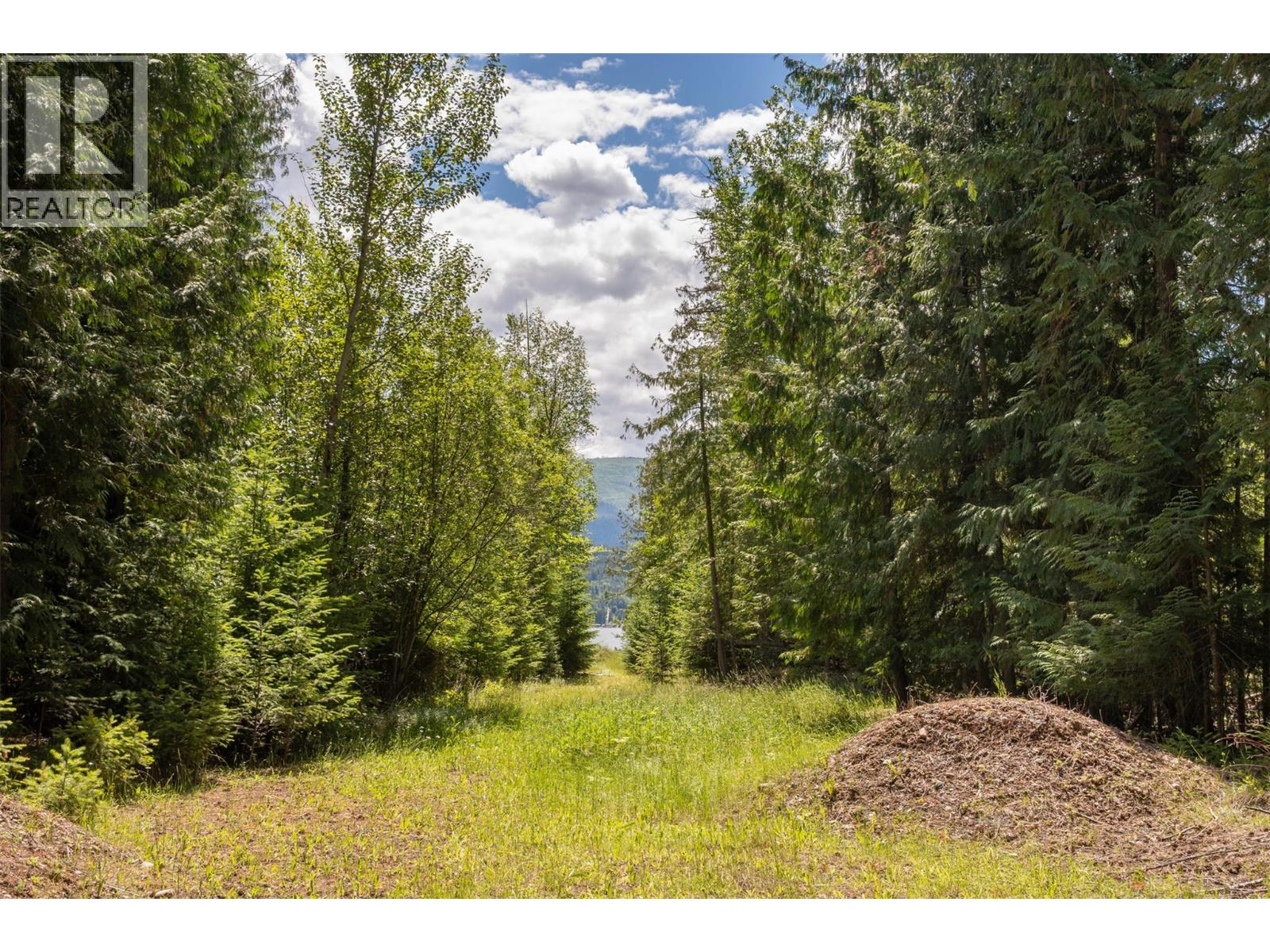 4012 Express Point Road, Scotch Creek, British Columbia  V0E 1M5 - Photo 28 - 10392035