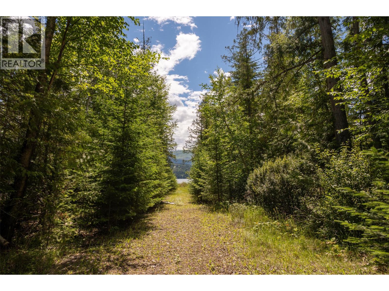 4012 Express Point Road, Scotch Creek, British Columbia  V0E 1M5 - Photo 30 - 10392035