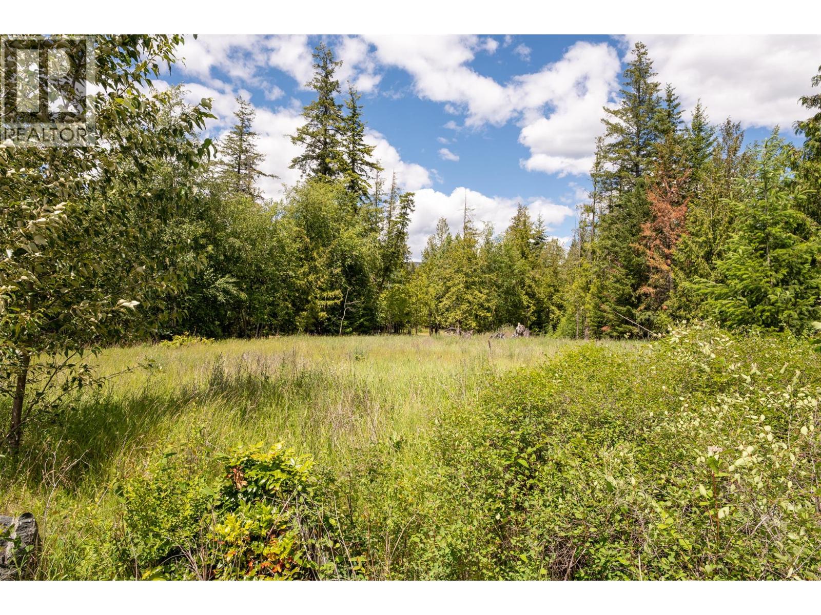 4012 Express Point Road, Scotch Creek, British Columbia  V0E 1M5 - Photo 37 - 10392035