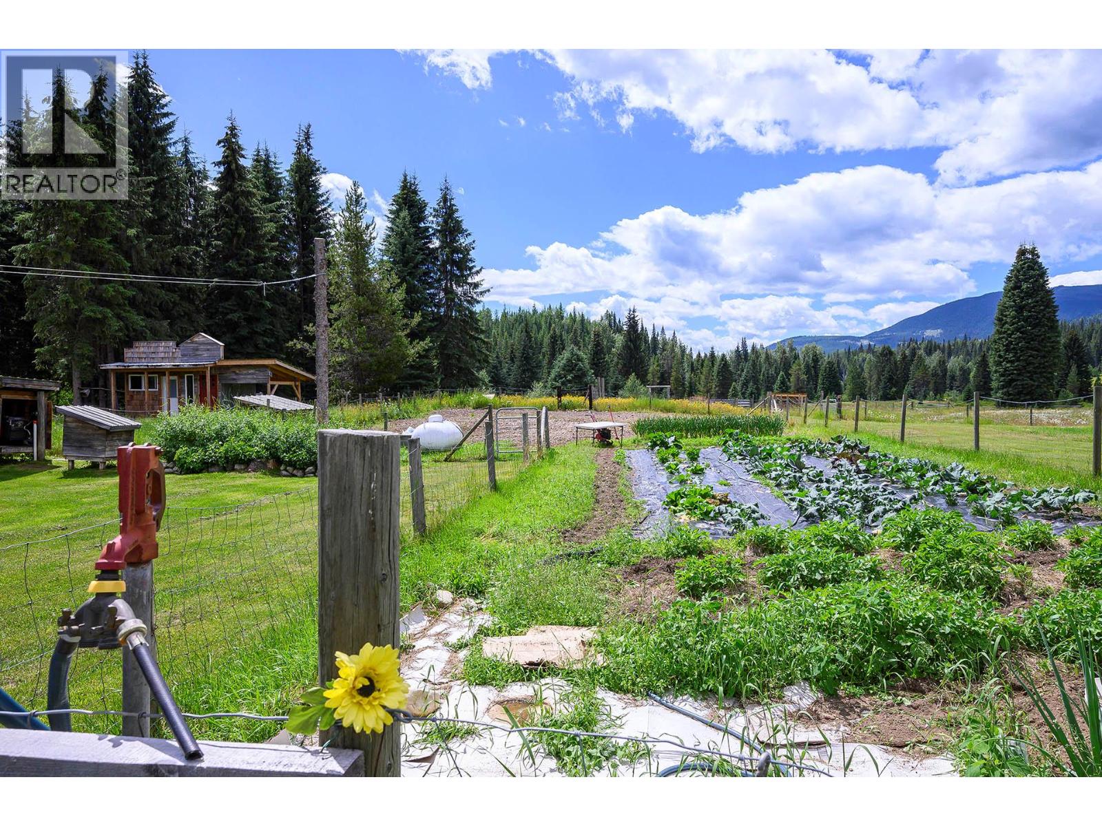 3881 Mad River Forest Service Road, Vavenby, British Columbia  V0E 3A0 - Photo 75 - 10391656