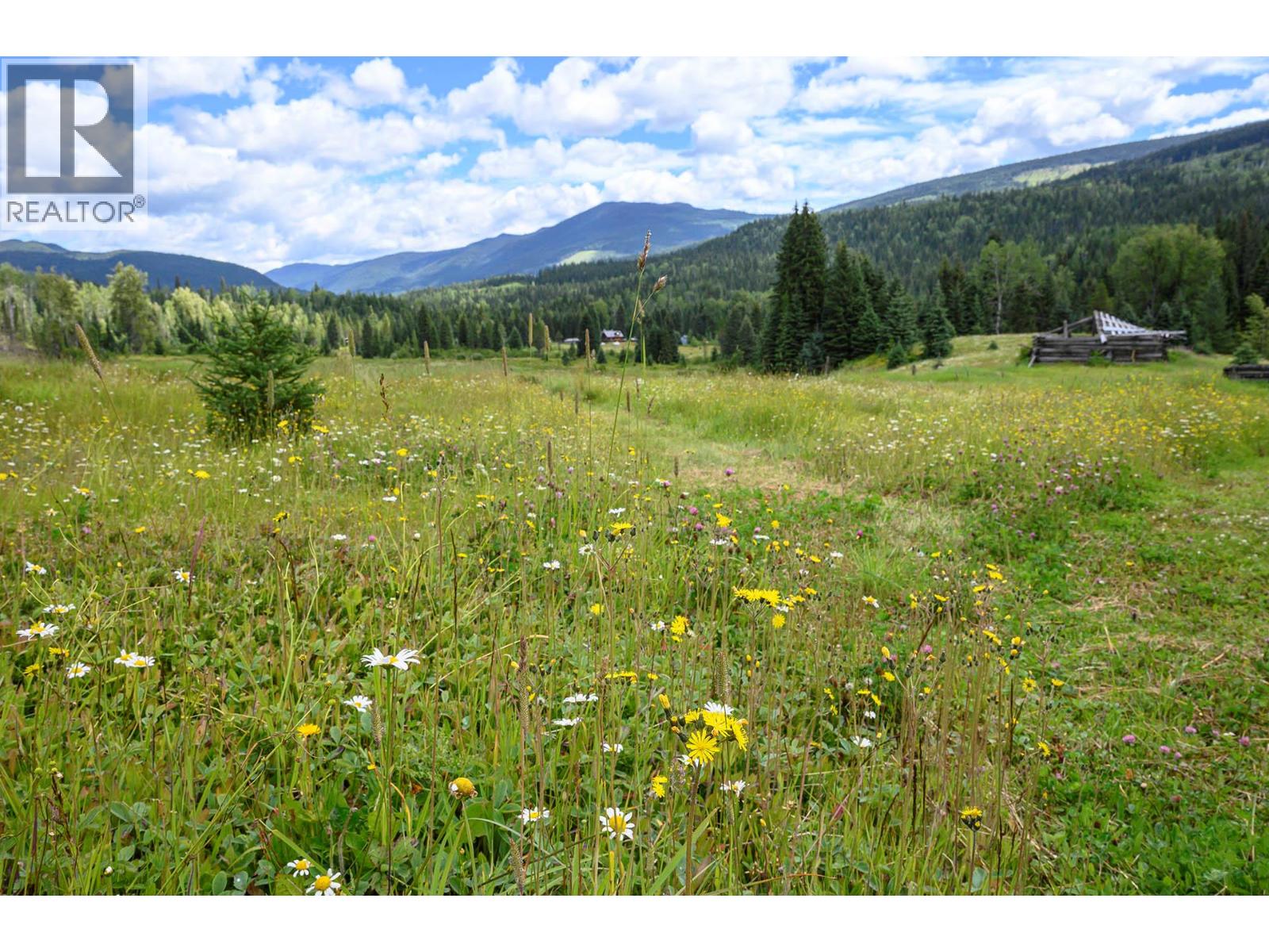 3881 Mad River Forest Service Road, Vavenby, British Columbia  V0E 3A0 - Photo 93 - 10391656