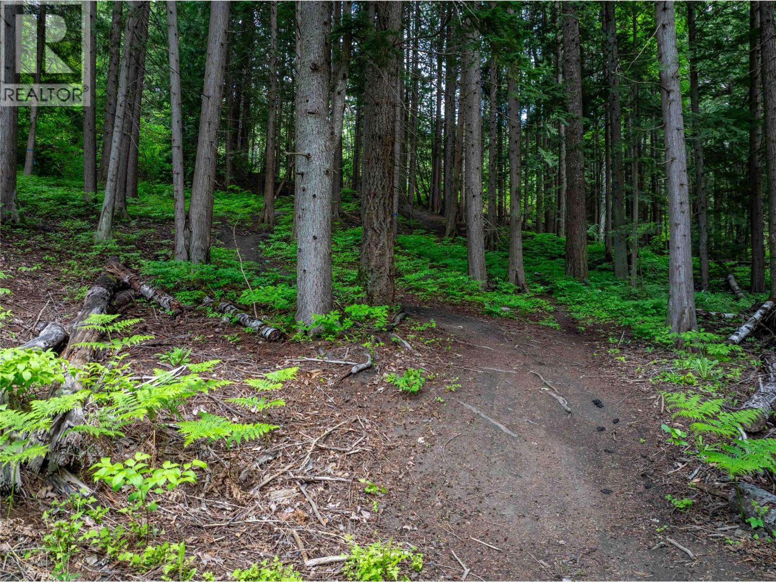 714 Cedar Street, Revelstoke, British Columbia  V0E 2S0 - Photo 10 - 10390909
