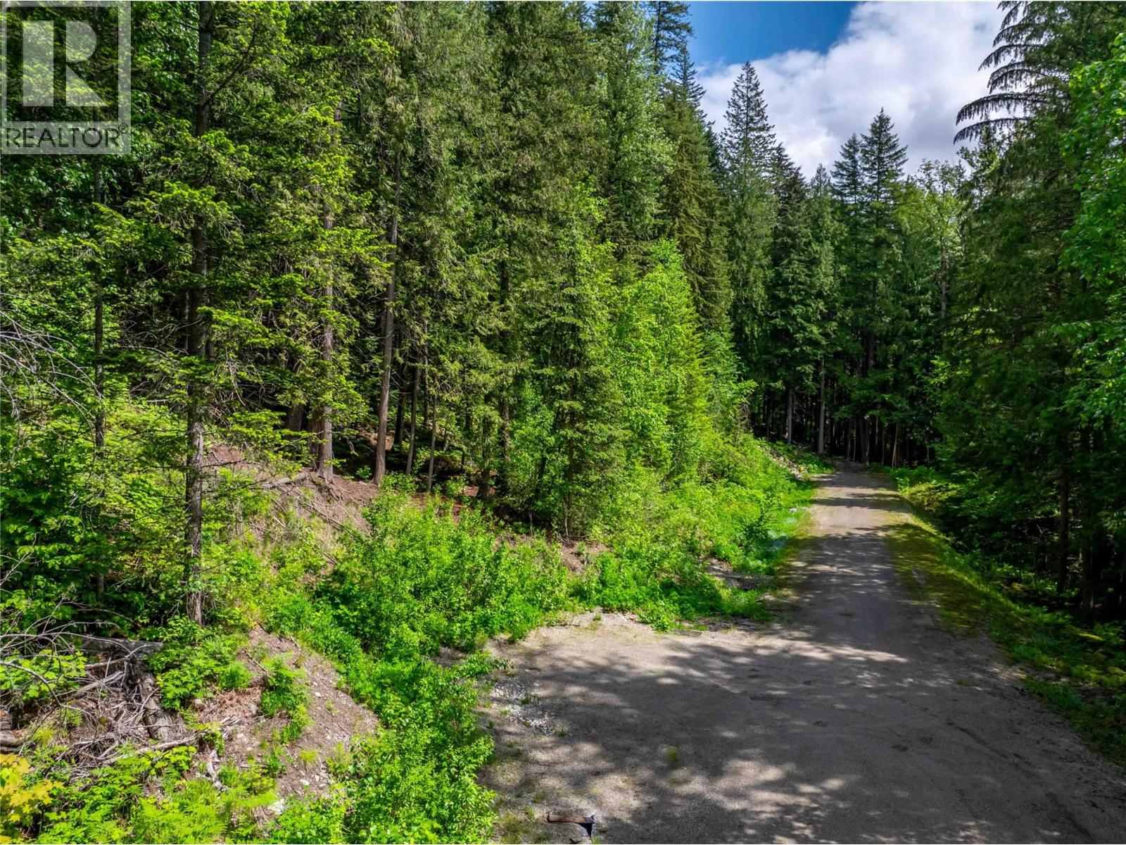 714 Cedar Street, Revelstoke, British Columbia  V0E 2S0 - Photo 4 - 10390909