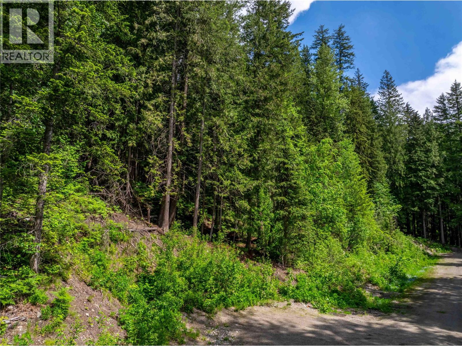 714 Cedar Street, Revelstoke, British Columbia  V0E 2S0 - Photo 5 - 10390909