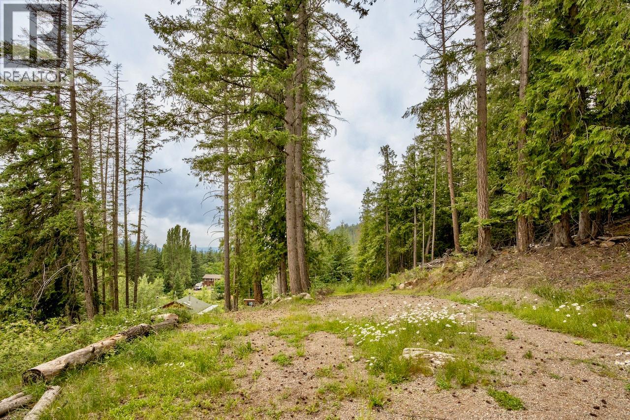 2606 Cedar Avenue Lot# 88, Anglemont, British Columbia  V0E 1M8 - Photo 3 - 10391881