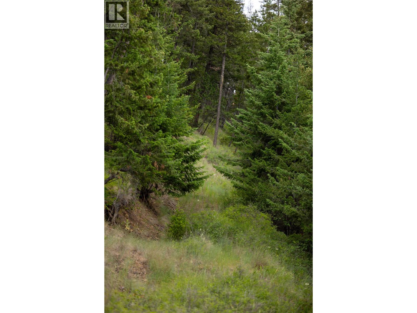 2884 Wetaskiwin Road, Falkland, British Columbia  V0E 1W1 - Photo 12 - 10392128