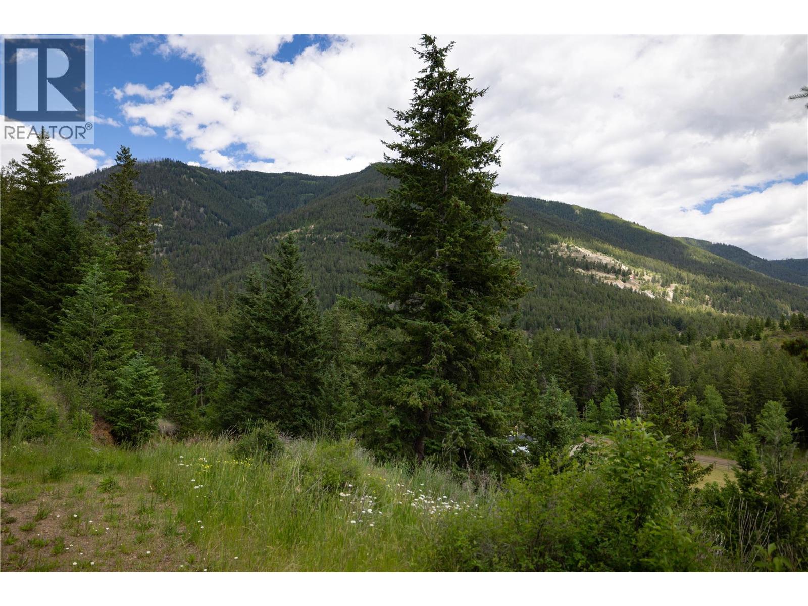 2884 Wetaskiwin Road, Falkland, British Columbia  V0E 1W1 - Photo 13 - 10392128