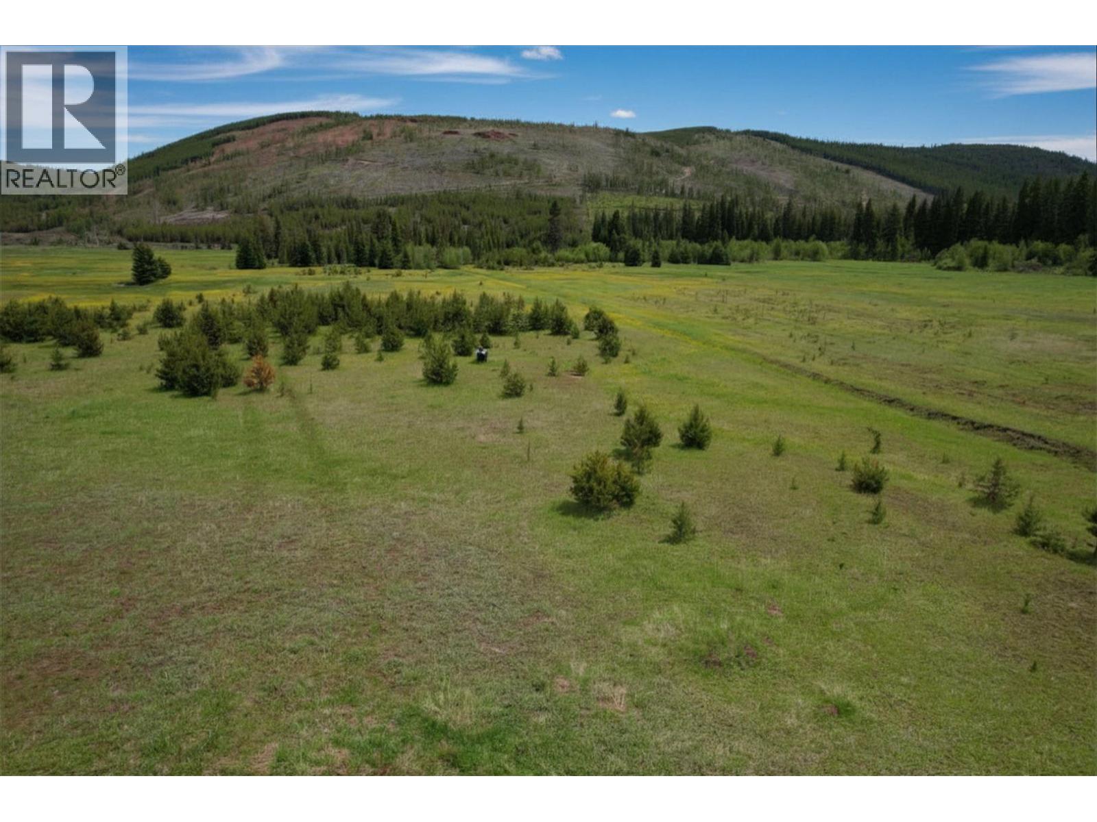 6730 Gold Creek Road, Cranbrook, British Columbia  V1C 4H6 - Photo 19 - 10392156