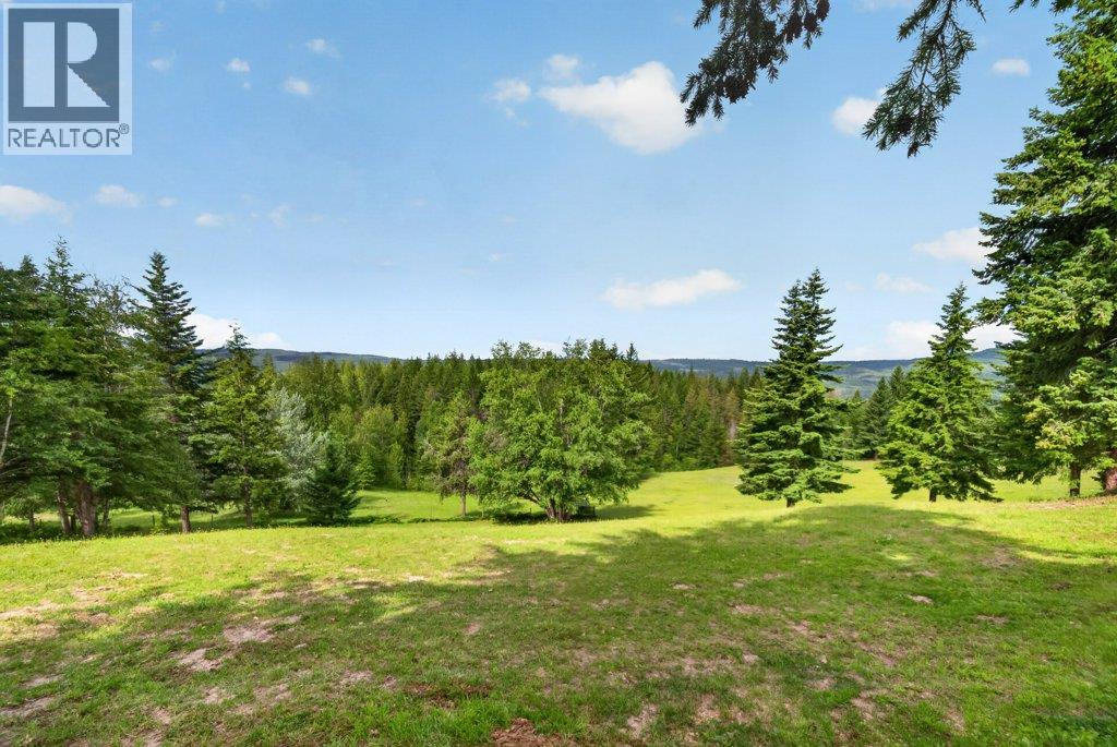 1140 Diamond Rock Road, Enderby, British Columbia  V4Y 4H7 - Photo 80 - 10391767