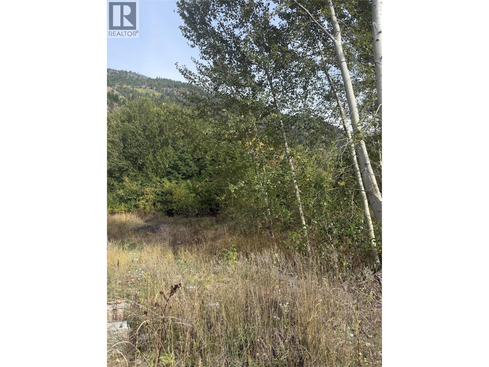 2073 Raspberry Road, Robson, British Columbia  V0G 1X0 - Photo 17 - 10392074