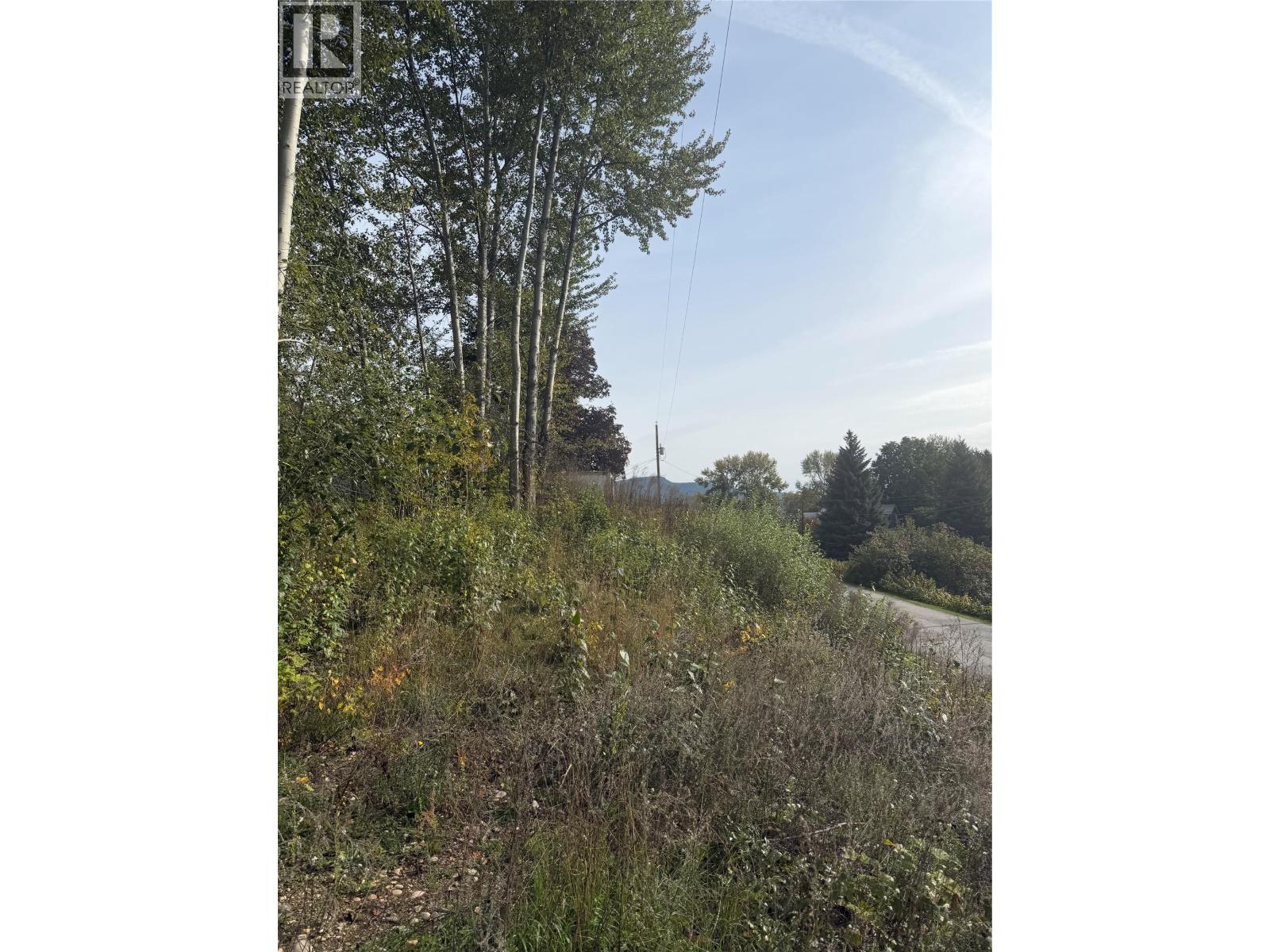 2073 Raspberry Road, Robson, British Columbia  V0G 1X0 - Photo 18 - 10392074