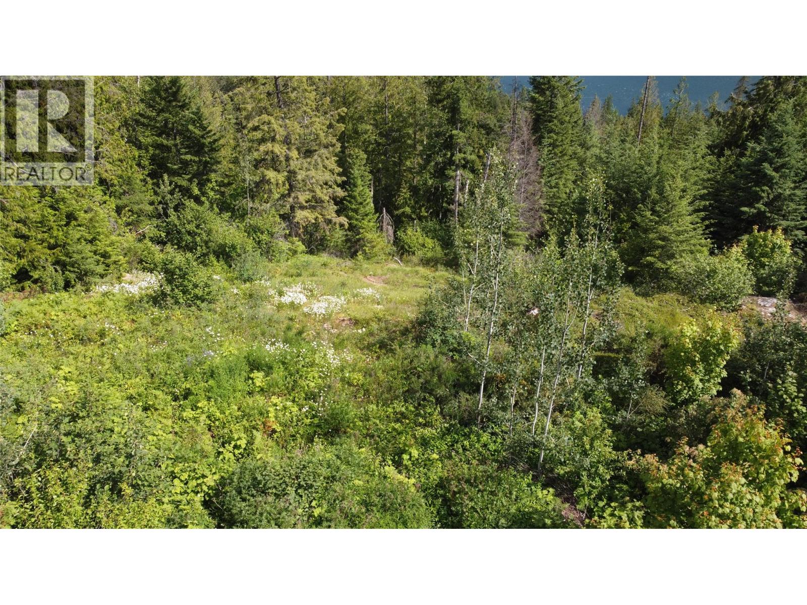 6820 Grandview Drive, Nelson, British Columbia  V1L 5P3 - Photo 6 - 10392454