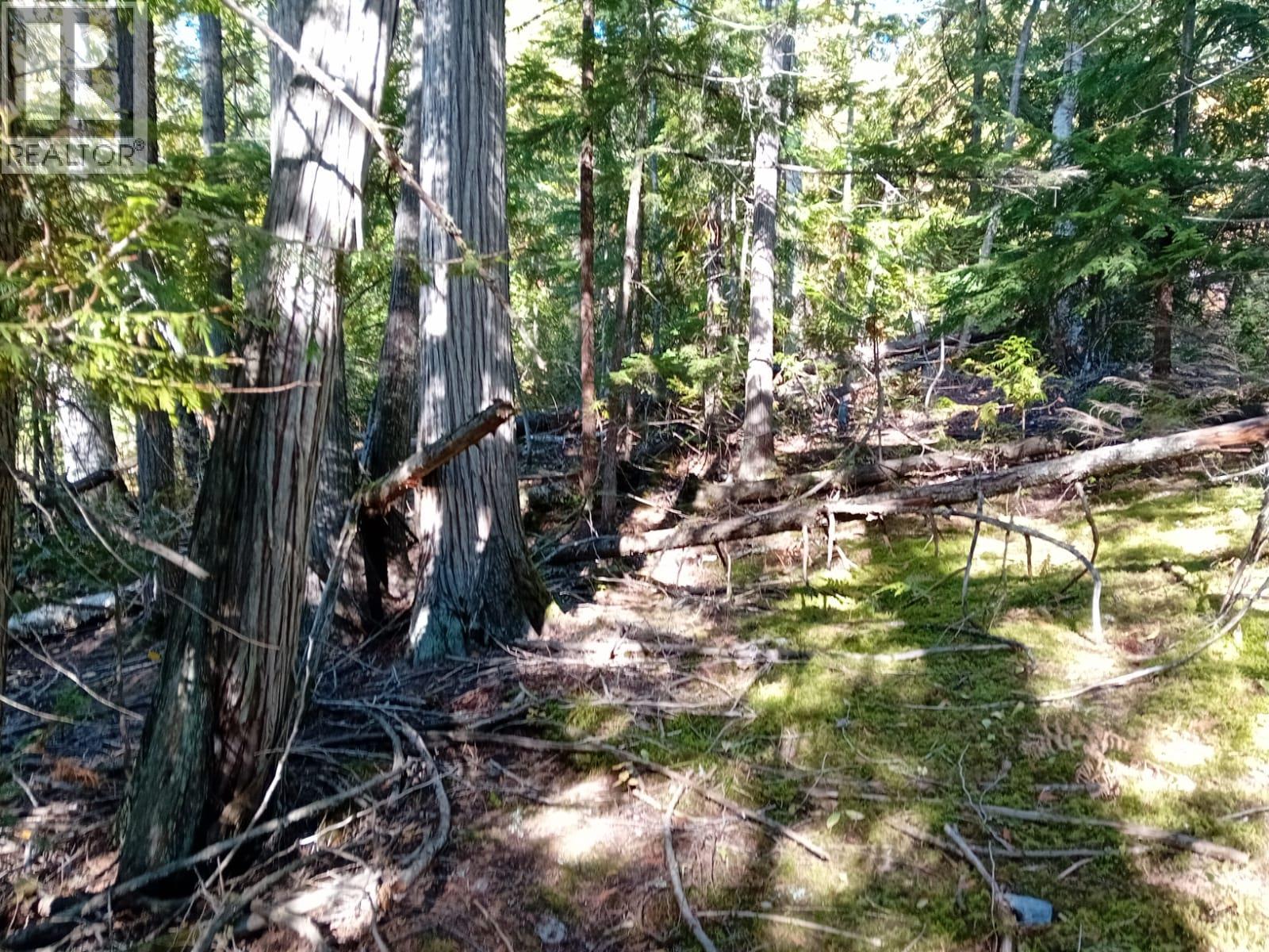 Aspen Road Lot# 372, Anglemont, British Columbia  V0E 1M8 - Photo 2 - 10392652