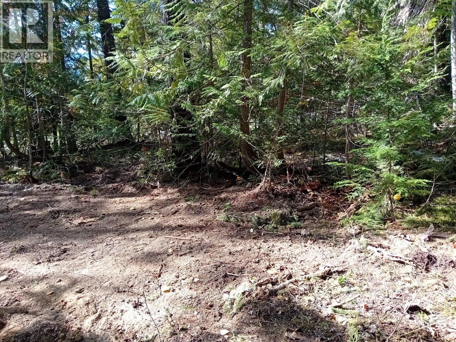 Aspen Road Lot# 372, Anglemont, British Columbia  V0E 1M8 - Photo 3 - 10392652