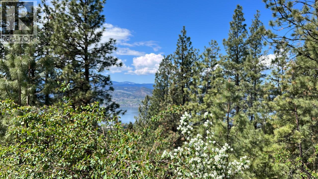 3901 Cottonwood Lane, Naramata, British Columbia  V0H 1N1 - Photo 84 - 10391748