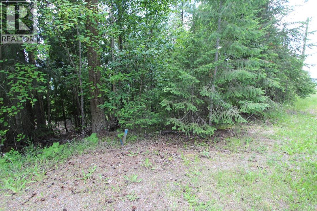 Vickers Trail Lot# 1, Anglemont, British Columbia  V0E 1M8 - Photo 1 - 10392726
