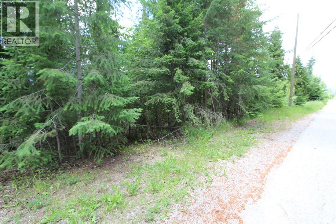 Vickers Trail Lot# 1, Anglemont, British Columbia  V0E 1M8 - Photo 2 - 10392726