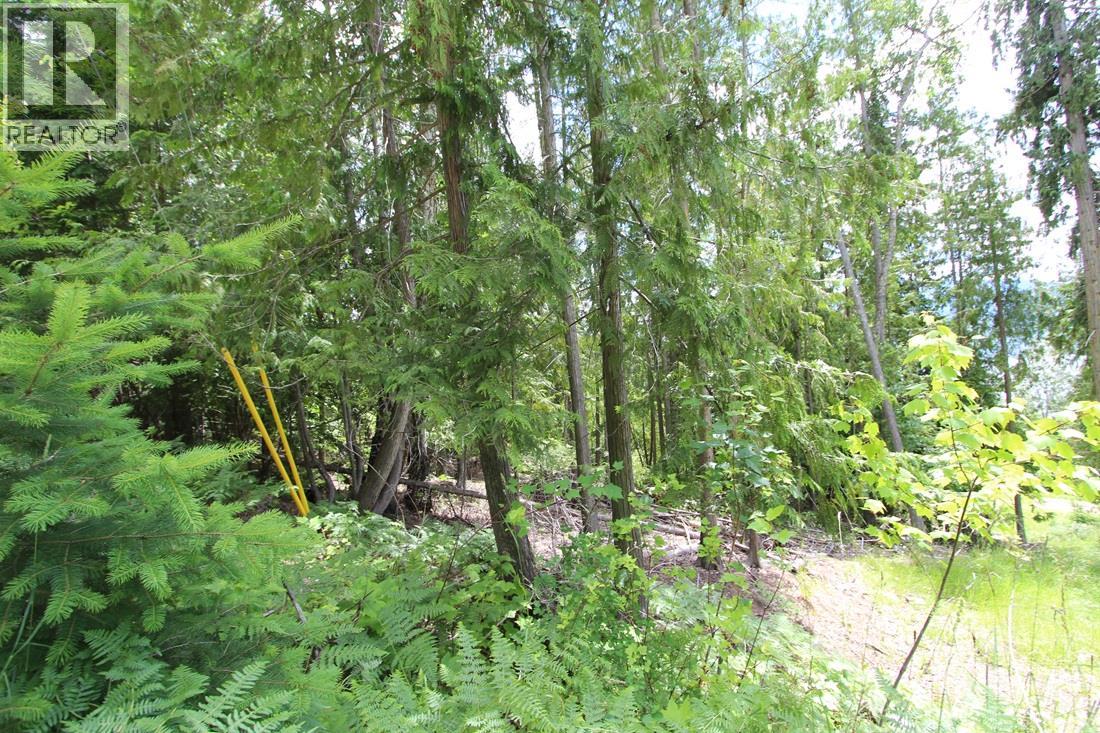 Vickers Trail Lot# 1, Anglemont, British Columbia  V0E 1M8 - Photo 3 - 10392726