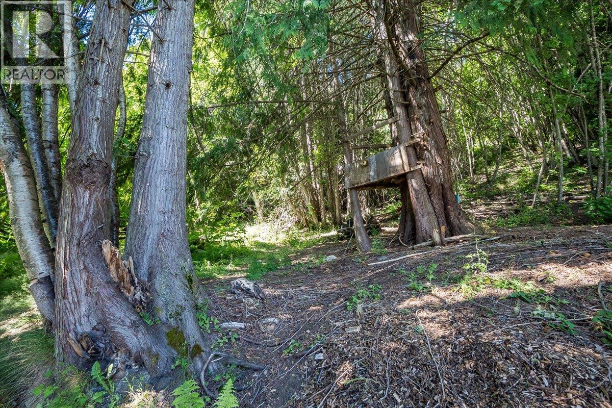 3548 Terrace Street, Ainsworth, British Columbia  V0G 1A0 - Photo 50 - 10392452