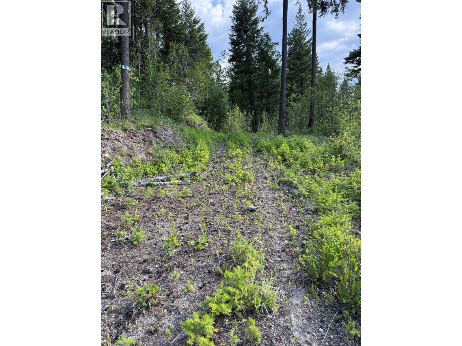 Hepburn Road Lot# 1, Chase, British Columbia  V0E 1M1 - Photo 15 - 10392577