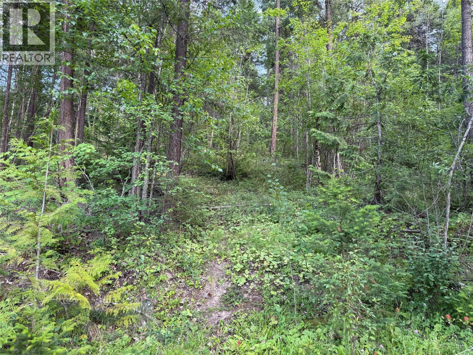 Hepburn Road Lot# 1, Chase, British Columbia  V0E 1M1 - Photo 19 - 10392577