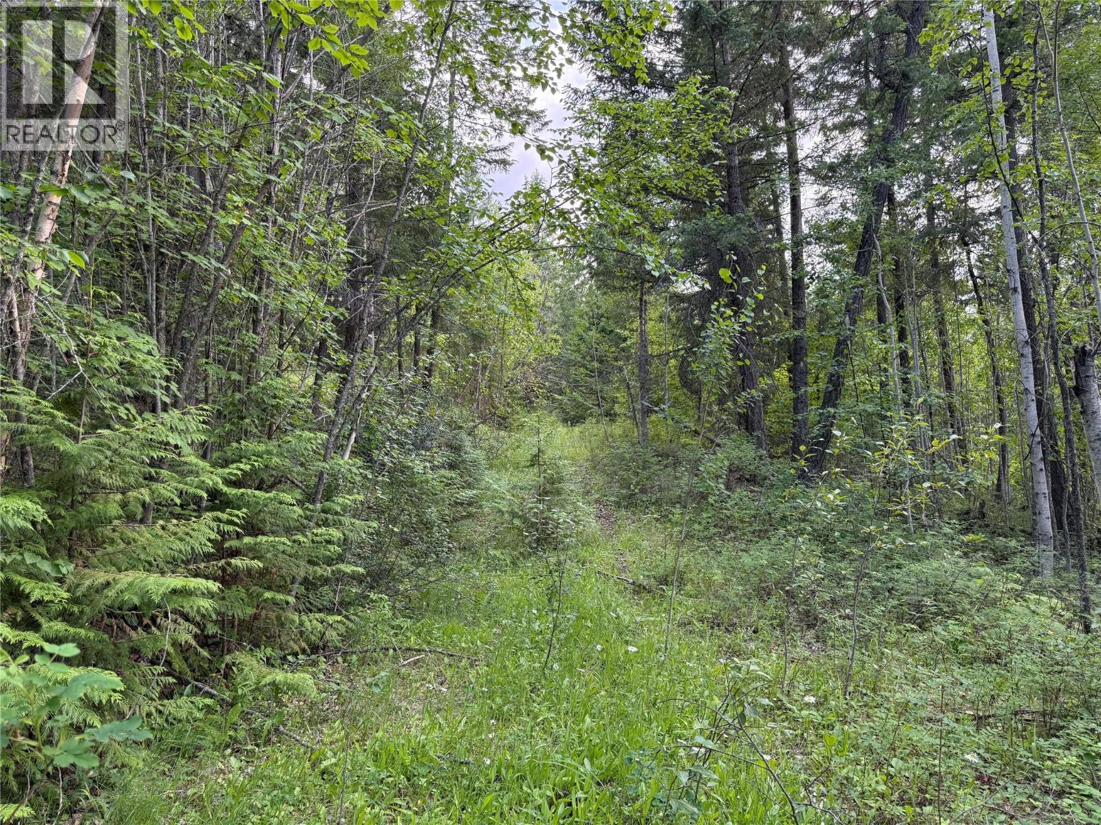 Hepburn Road Lot# 1, Chase, British Columbia  V0E 1M1 - Photo 20 - 10392577