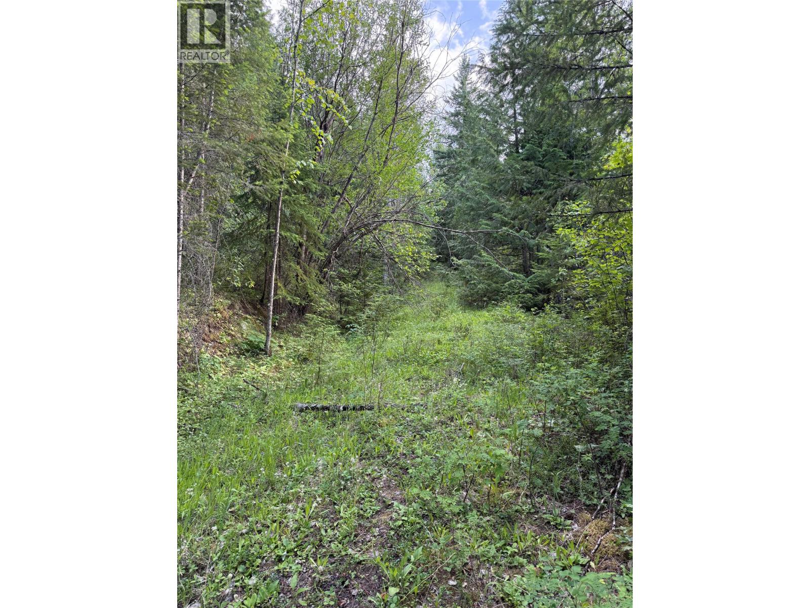 Hepburn Road Lot# 1, Chase, British Columbia  V0E 1M1 - Photo 22 - 10392577