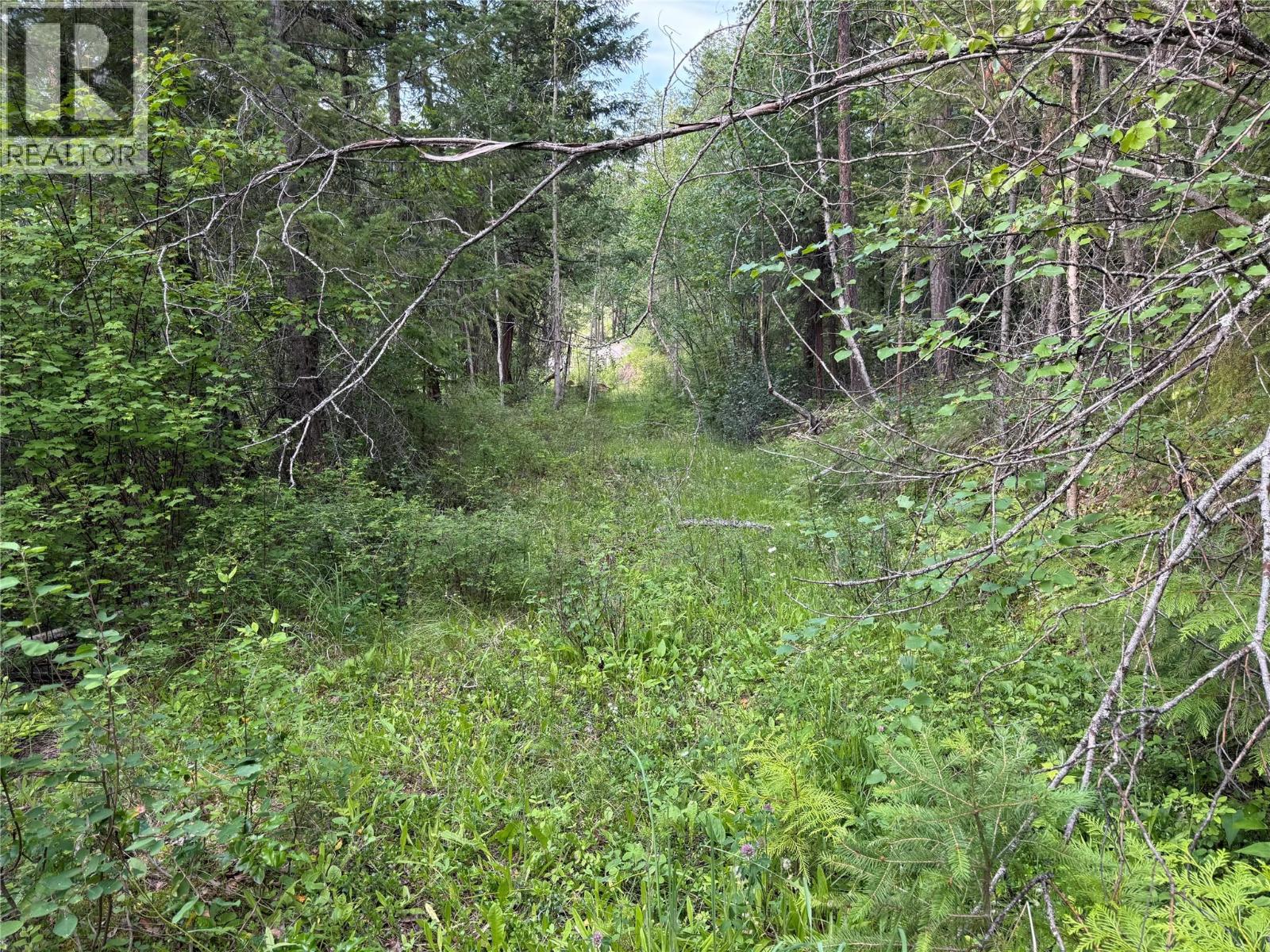 Hepburn Road Lot# 1, Chase, British Columbia  V0E 1M1 - Photo 25 - 10392577