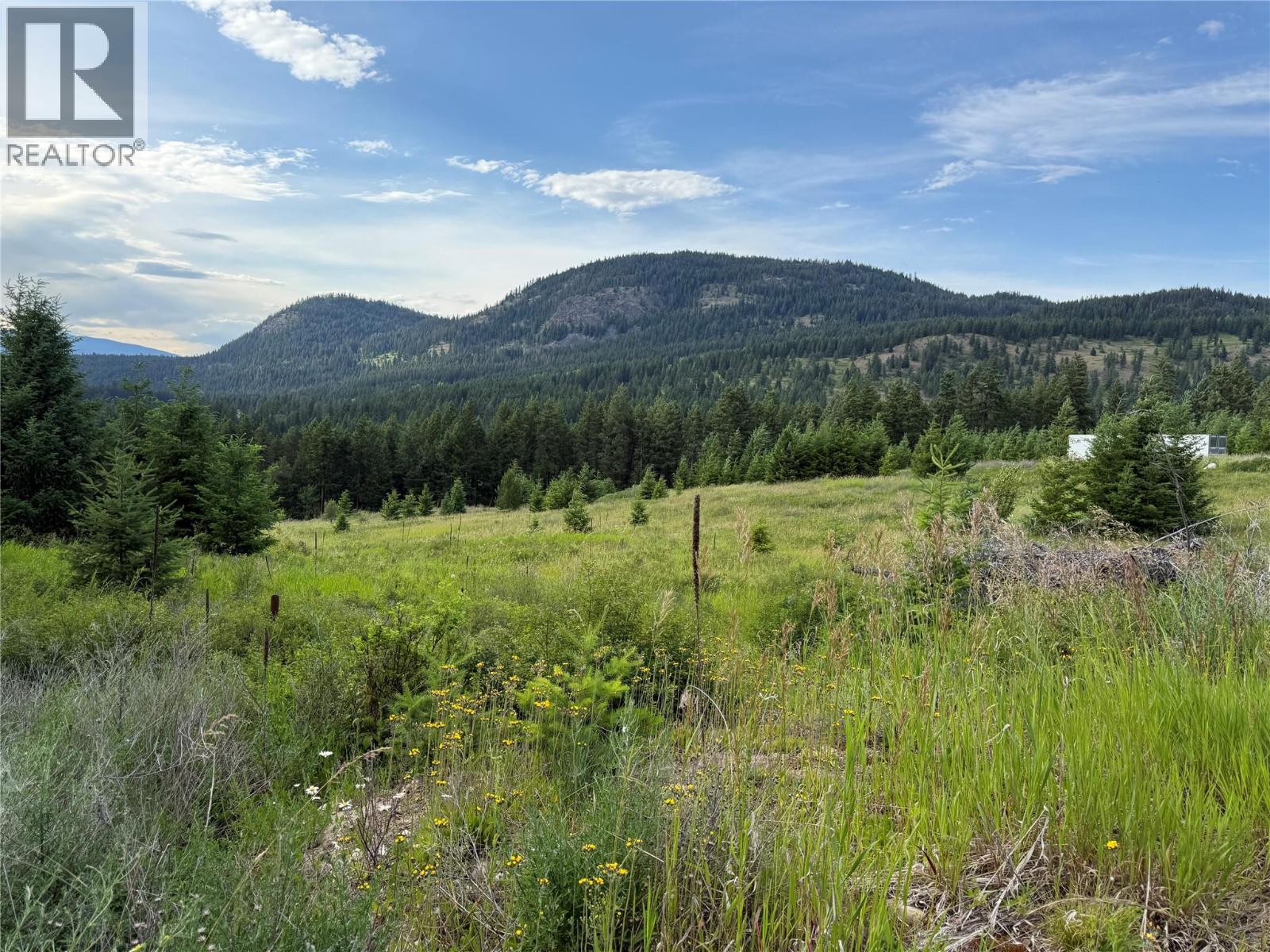 Hepburn Road Lot# 1, Chase, British Columbia  V0E 1M1 - Photo 32 - 10392577