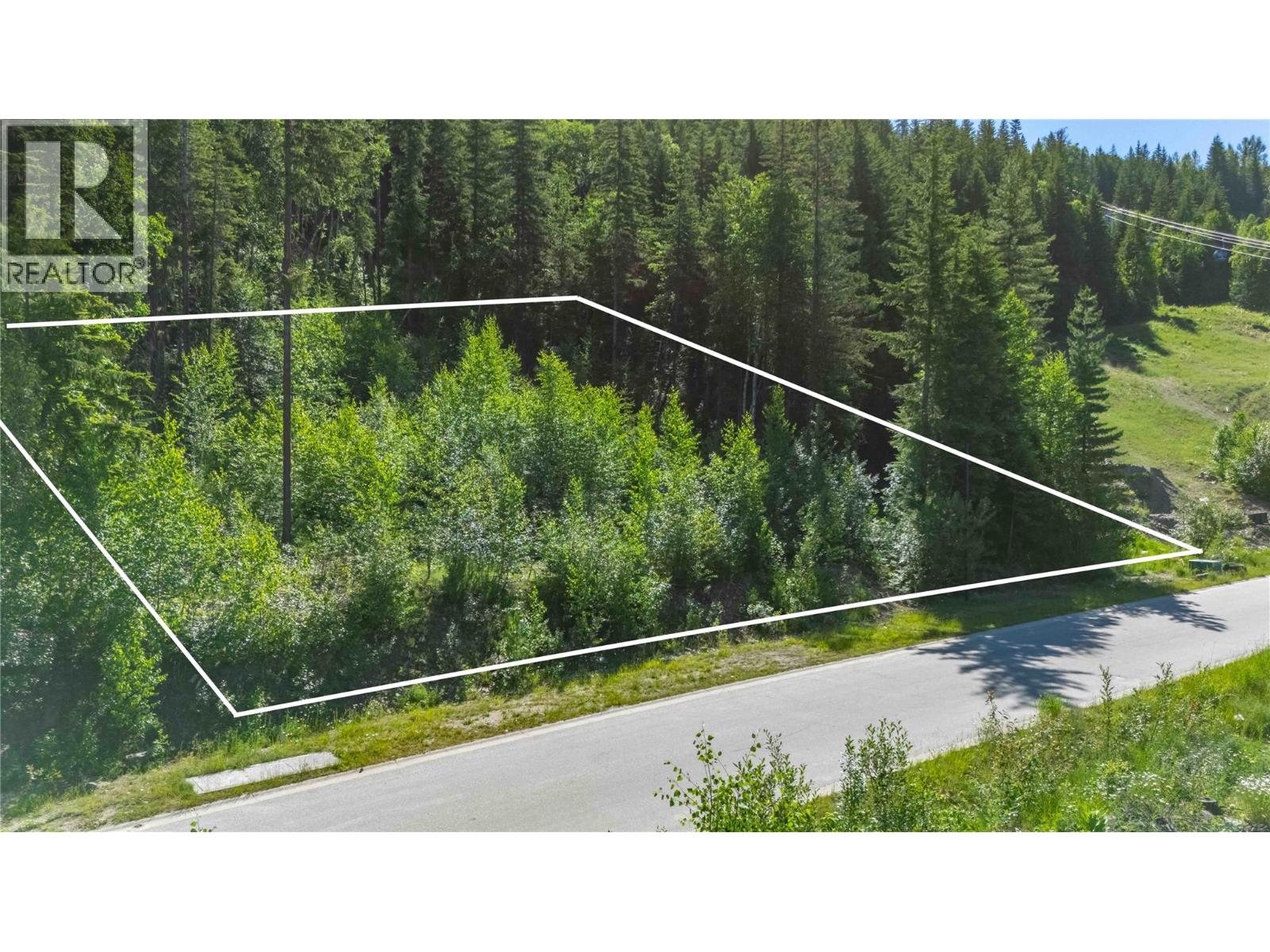 2465 Monashee Court Lot# 24, Revelstoke, British Columbia  V0E 2S3 - Photo 4 - 10392659