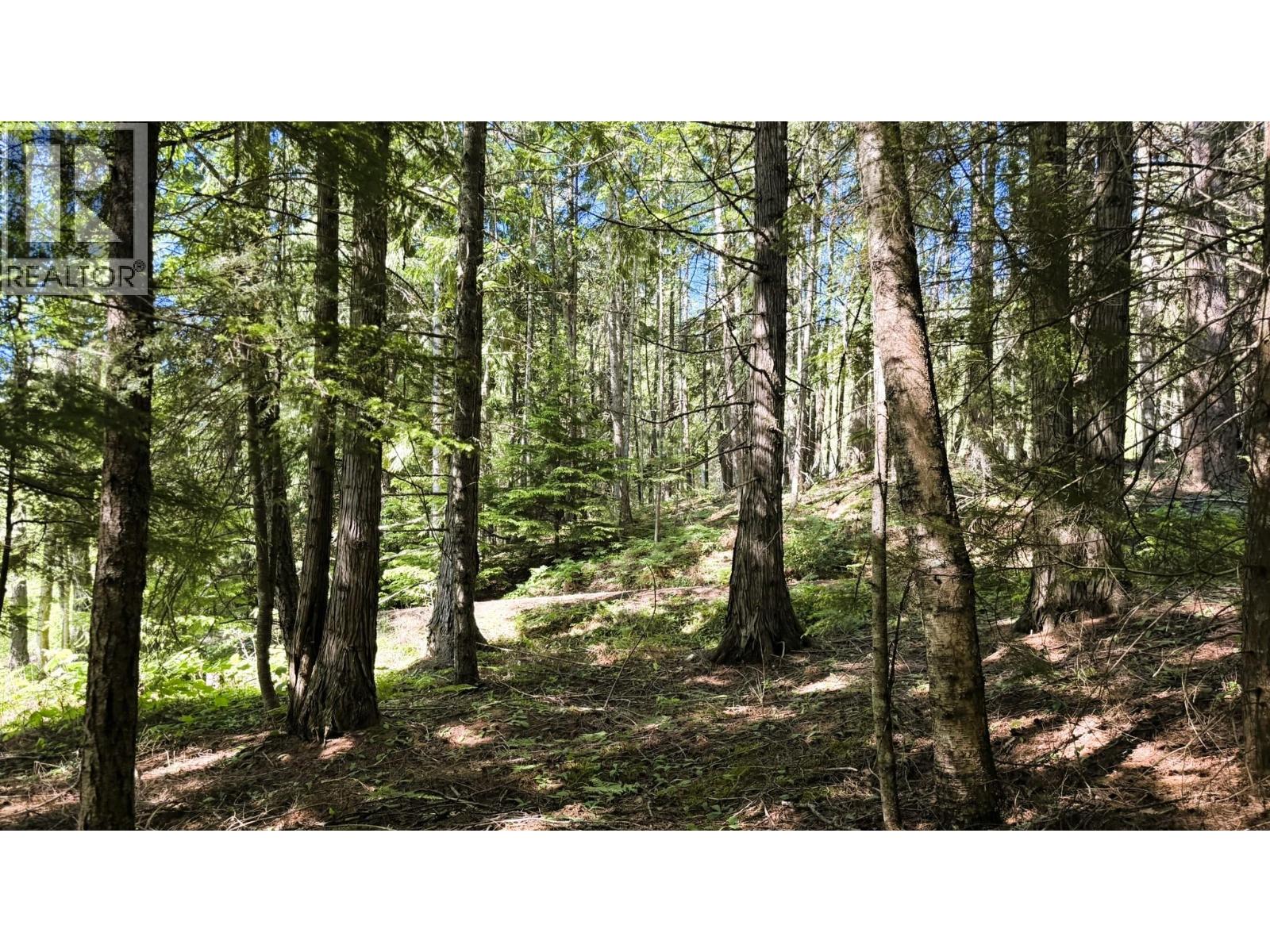 5392 Hwy 6 Highway Lot# 1, Burton, British Columbia  V0G 1R0 - Photo 72 - 10392825