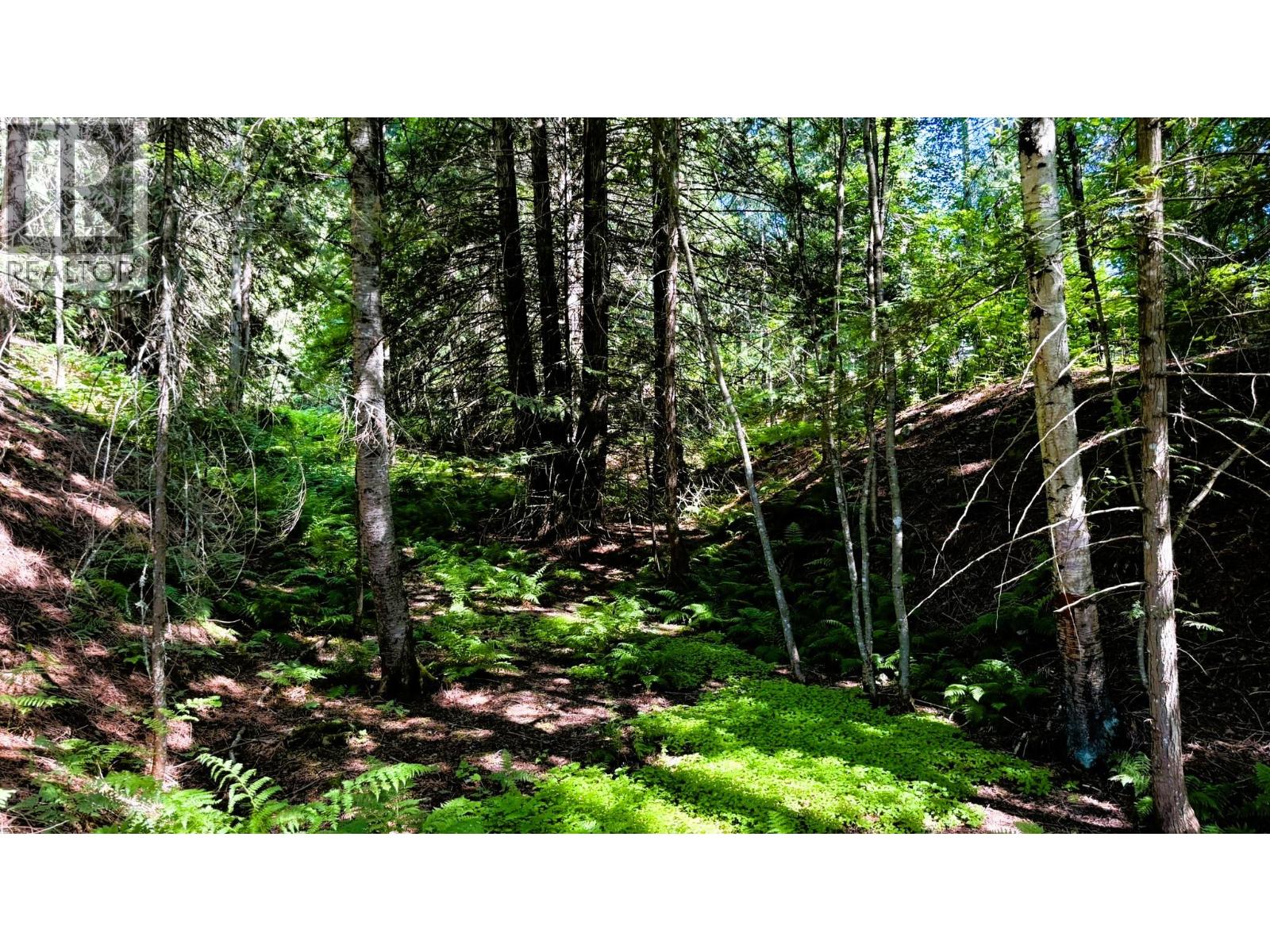 5392 Hwy 6 Highway Lot# 1, Burton, British Columbia  V0G 1R0 - Photo 74 - 10392825