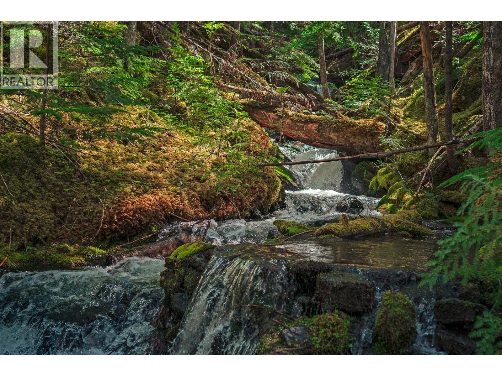 899 Coleman Road, Riondel, British Columbia  V0B 2B0 - Photo 2 - 10392719