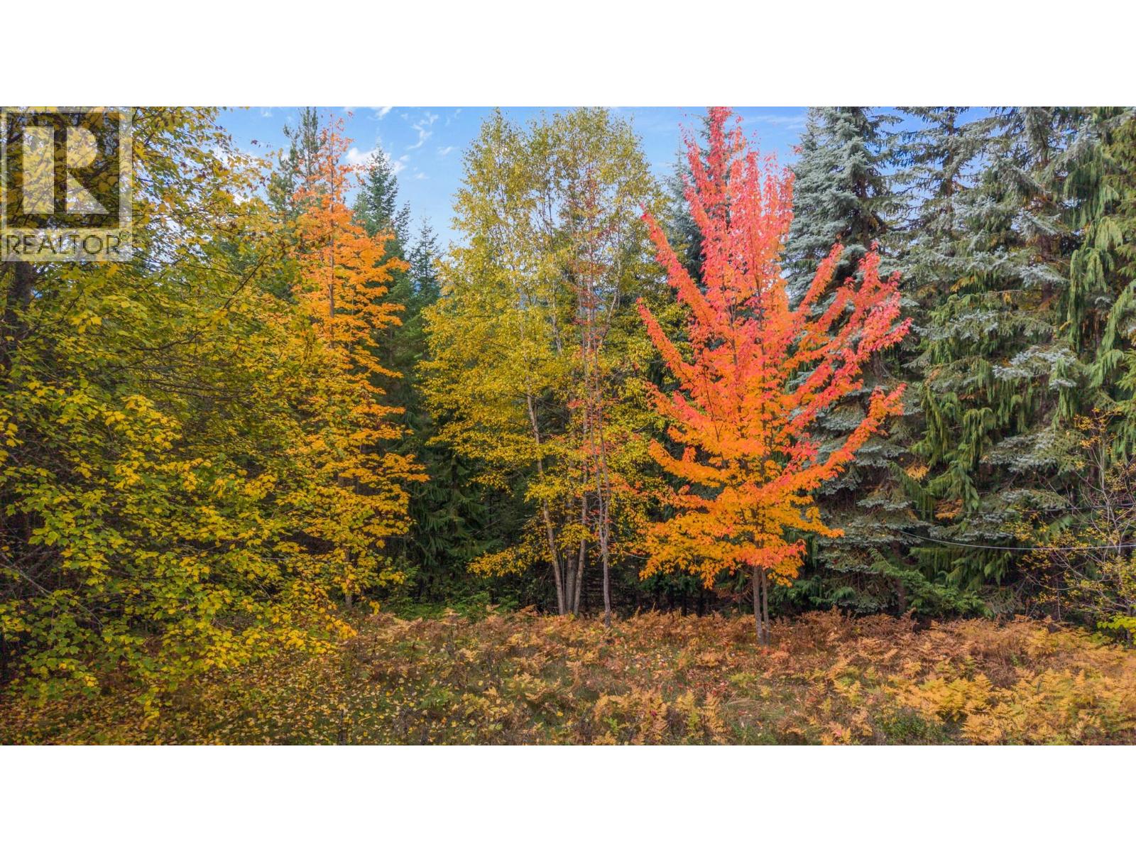 899 Coleman Road, Riondel, British Columbia  V0B 2B0 - Photo 29 - 10392719